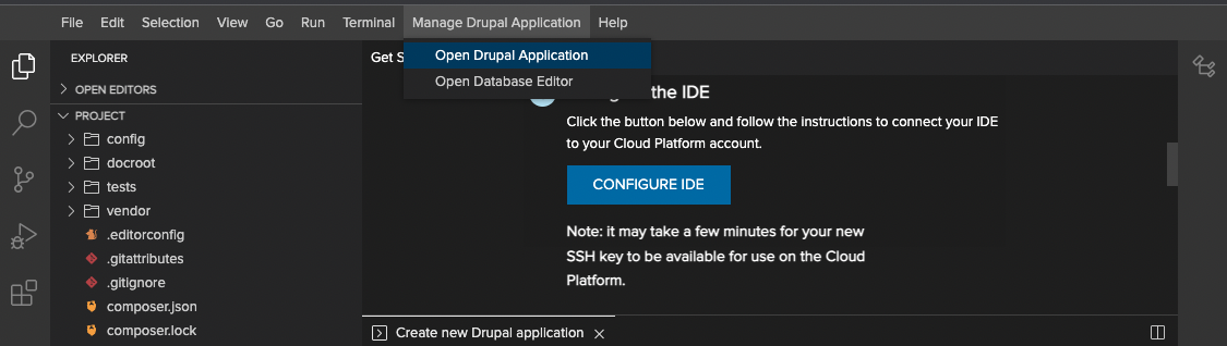 Open your local Cloud IDE website.