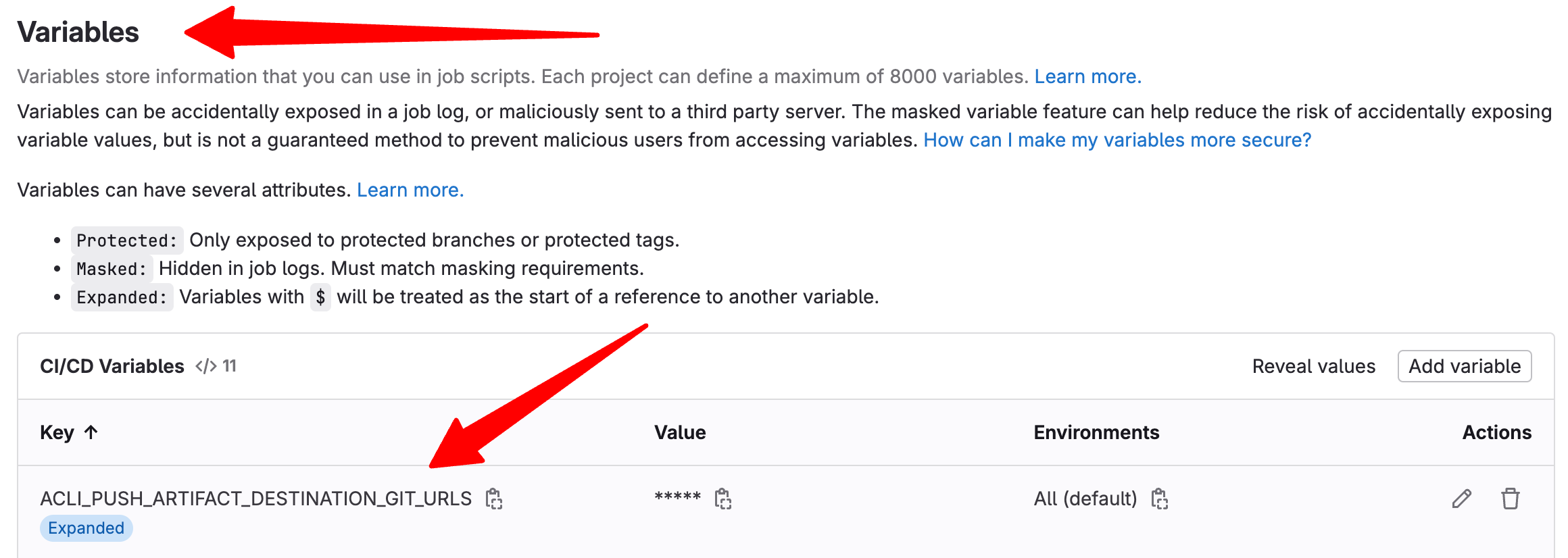 CI/CD variable