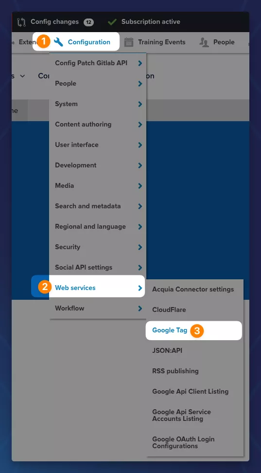 Configure Google Tag Module