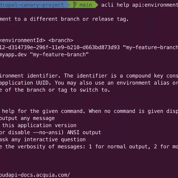 Example api:environments:code-switch command